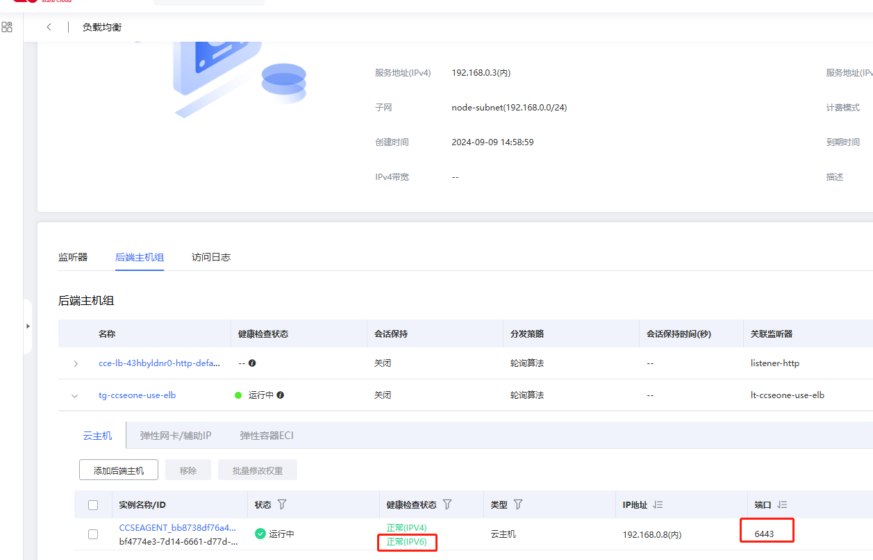 接入集群如何通过IPv6接入管控实例4.png