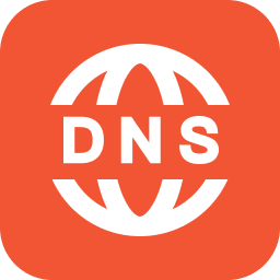 内网DNS